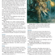 Illustration for article titled Dungeons & Dragons Is Heading to Magic: The Gathering's Gothic Land of Innistrad